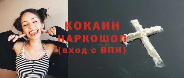 стафф Арсеньев