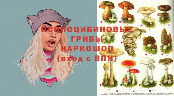 эйфоретик Армянск