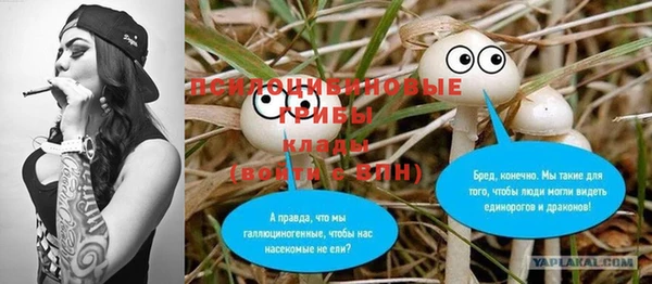 крисы Баксан