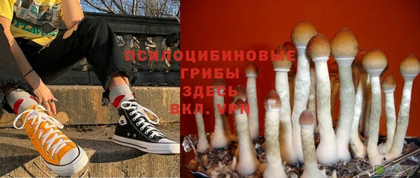 эйфоретик Армянск
