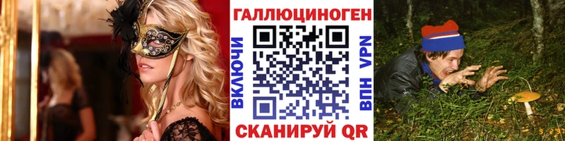Галлюциногенные грибы Psilocybe  купить наркотик  Барыш 