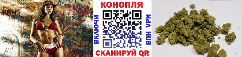Канабис сатива  Барыш 